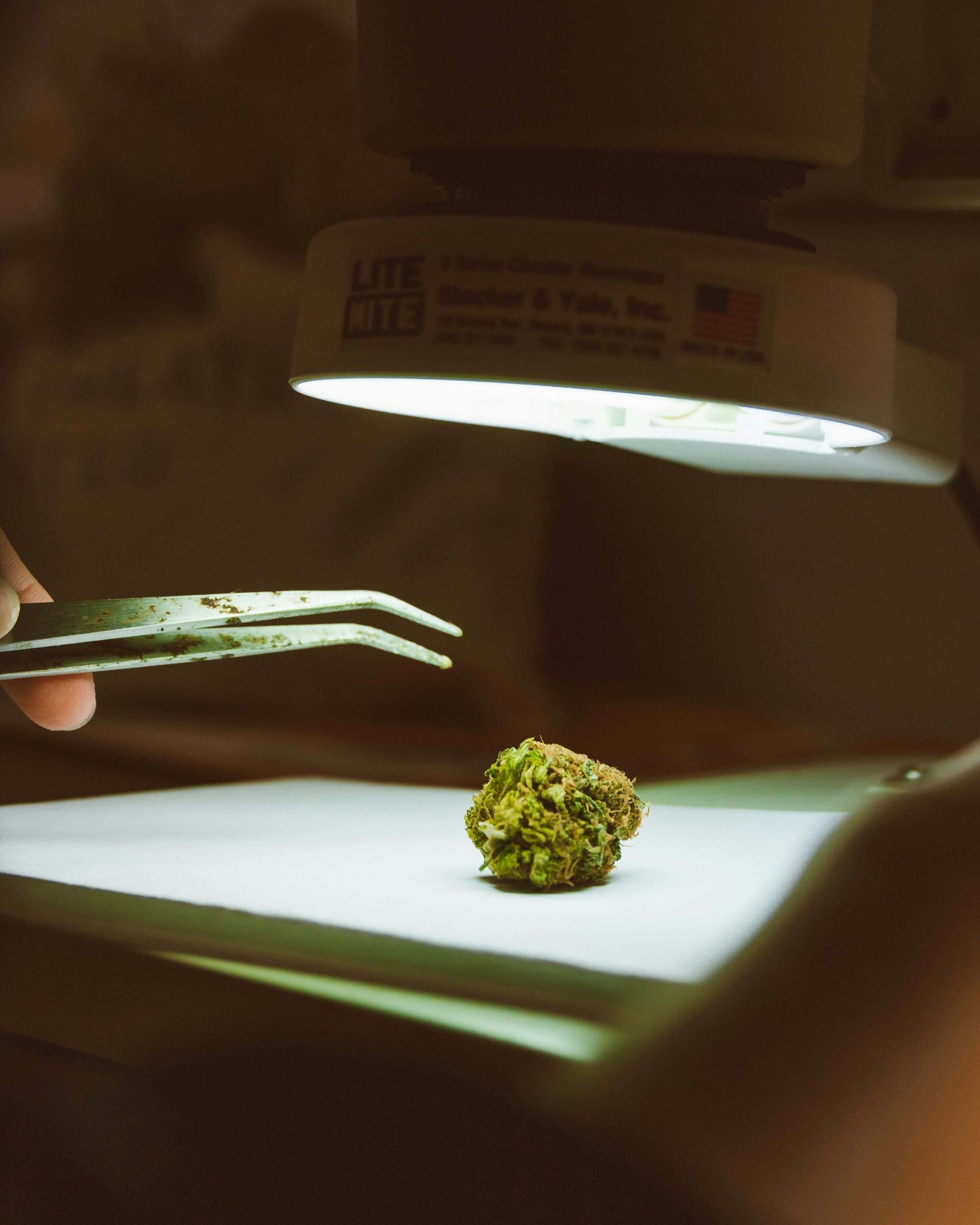 What Are The Big Changes Coming to Marijuana Research