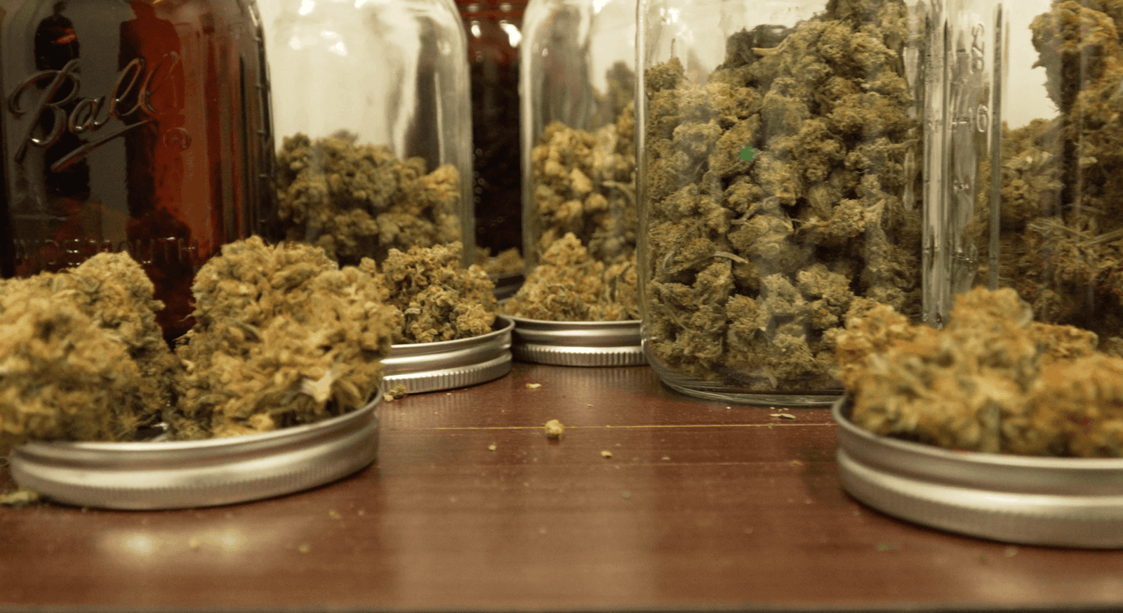 What You Need To Know About Strains